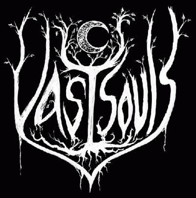 logo Vast Souls